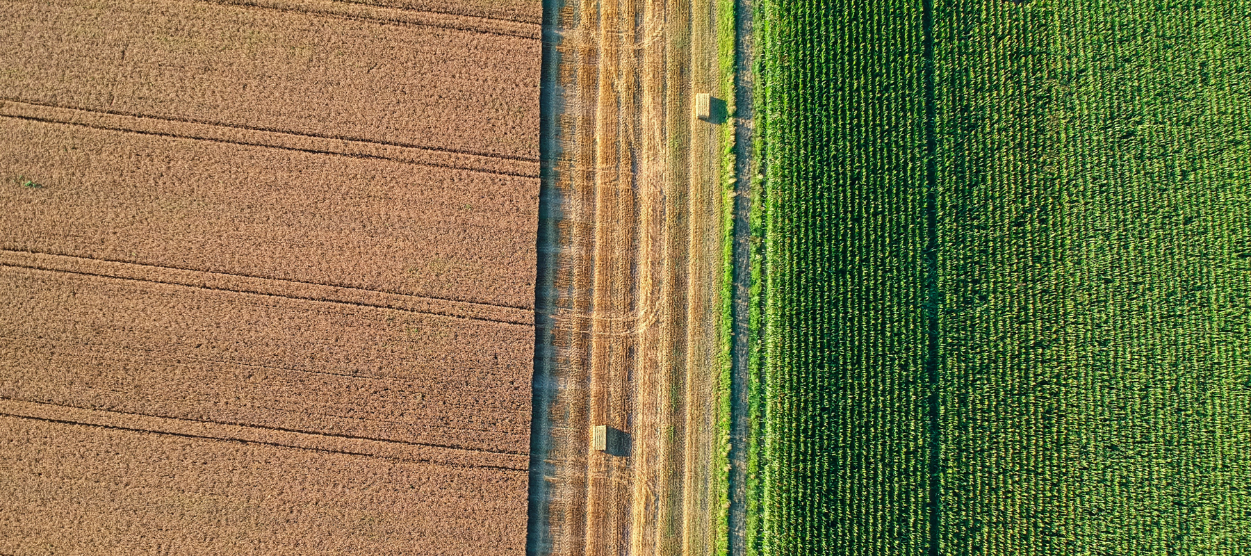An overhead view of a pasture.
