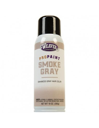 ProPaint Smoke Gray