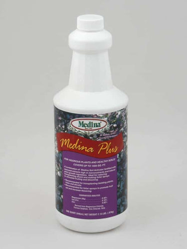 Medina Plus