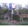 All Seasons Feeders 300lb Galvanized Protein Feeder