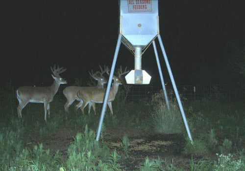 All Seasons Feeders 300lb Galvanized Protein Feeder