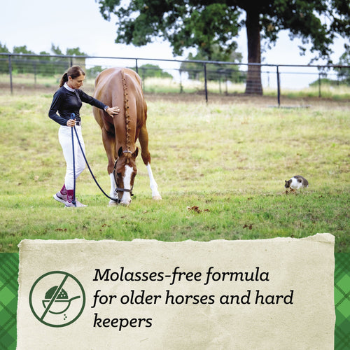 Nutrena® SafeChoice® Senior Molasses Free