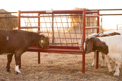 Behlen Mfg All Metal Small Animal Feeder