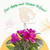 Nelson Plant Food ColorStar Outdoor & Indoor Plant Fertilizer