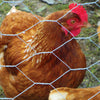 Origin Point Brands Chicken Wire
