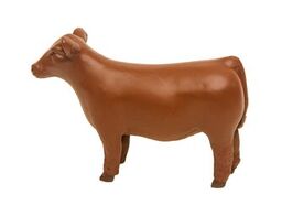 Little Busters Champion Show Steer Red