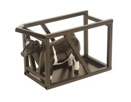 Little Buster Show Cattle Clipping Chute Black