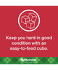 Nutrena 20% Cattle Cubes