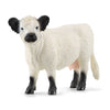 Schleich Galloway Cow Figurine