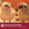 Purina® Start & Grow® Medicated Chick Feed