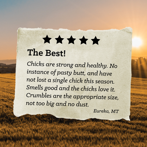 Nutrena® NatureWise® Chick Starter Grower 18% Protein Crumble Feed