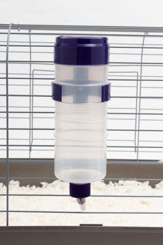 Lixit Quick Lock Flip Top Water Bottle