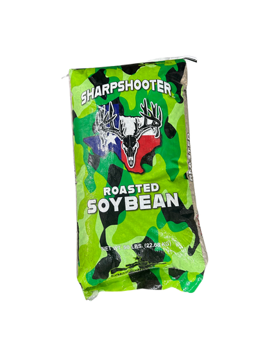 Roasted Soybeans