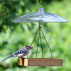 Nature's Way Squirrel Shield Dual-Mount Transparent 16 Squirrel Baffle