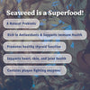 Angels’ Eyes Sea Sticks Multi-Benefit | Nutritional Seaweed Dog Treat