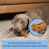 Angels’ Eyes Sea Sticks Multi-Benefit | Nutritional Seaweed Dog Treat